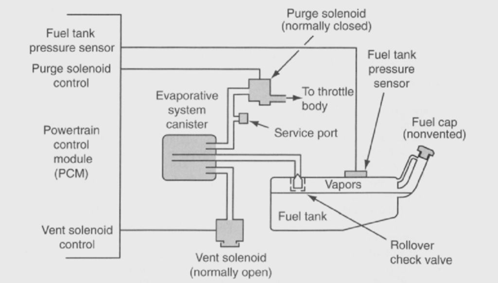 EVAP System